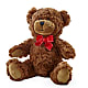 Adorable Plush Bear – SANTINA'S FLOWERS & GIFTS, Fairbanks AK