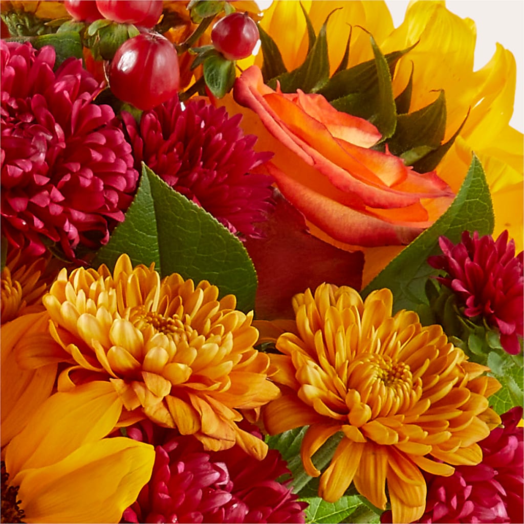 Sweater Season - A Florist Original – SANTINA'S FLOWERS & GIFTS, Fairbanks AK