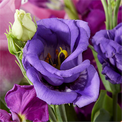 Twilight Glow Bouquet – SANTINA'S FLOWERS & GIFTS, Fairbanks AK