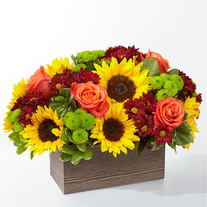 Happy Harvest Garden – SANTINA'S FLOWERS & GIFTS, Fairbanks AK