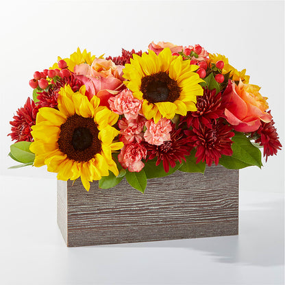 Fresh Cider Bouquet – SANTINA'S FLOWERS & GIFTS, Fairbanks AK