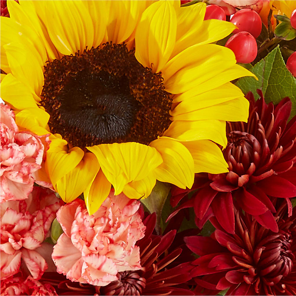 Fresh Cider Bouquet – SANTINA'S FLOWERS & GIFTS, Fairbanks AK