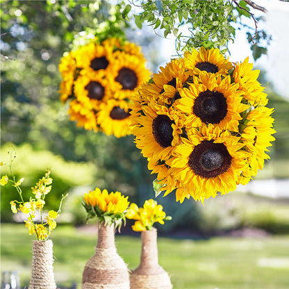 Sublime Garden Hanging Arrangement – SANTINA'S FLOWERS & GIFTS, Fairbanks AK